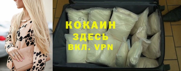 гашик Осташков