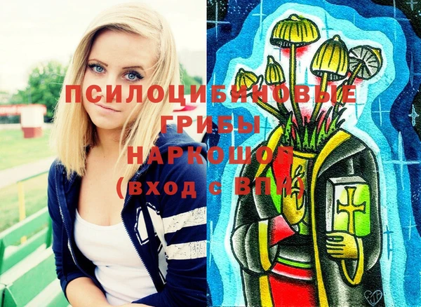 сатива Абинск