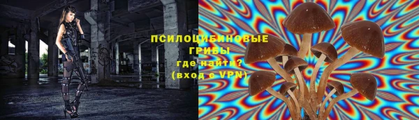 a pvp Абдулино
