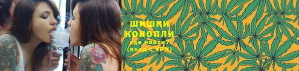 гашик Осташков