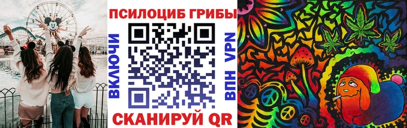 дарнет шоп  omg ССЫЛКА  Галлюциногенные грибы ЛСД  Ртищево 