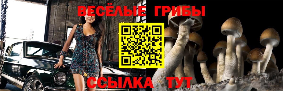 Псилоцибиновые грибы мухоморы  Вход с VPN  Ртищево  Галлюциногенные грибы ЛСД 